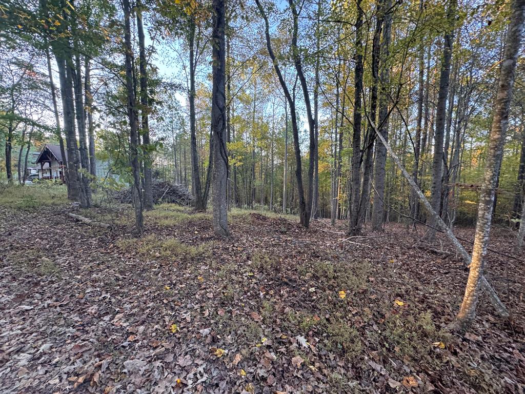 410159 Young Harris Land