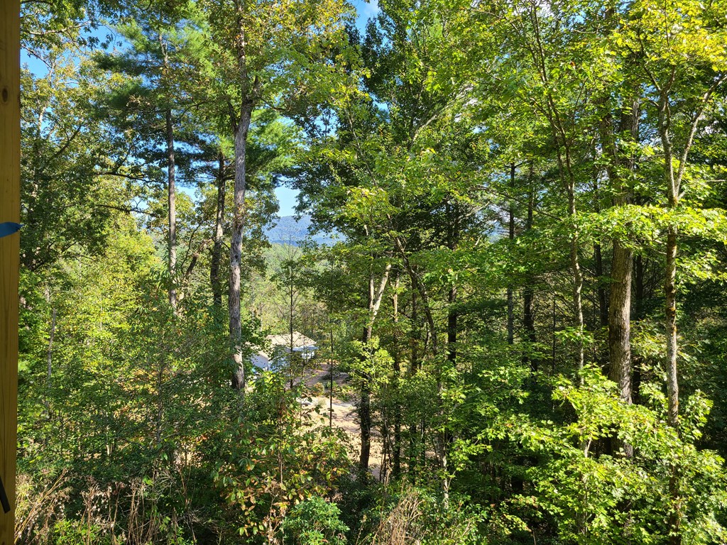 410176 Ellijay Residential