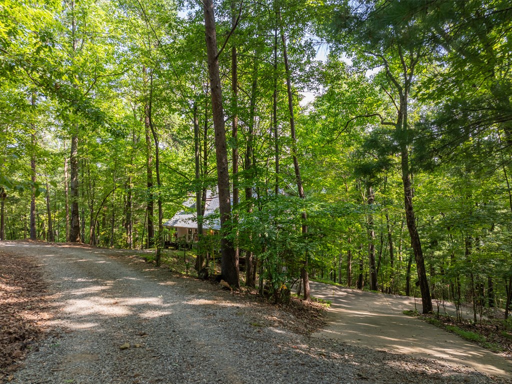 410200 Ellijay Residential