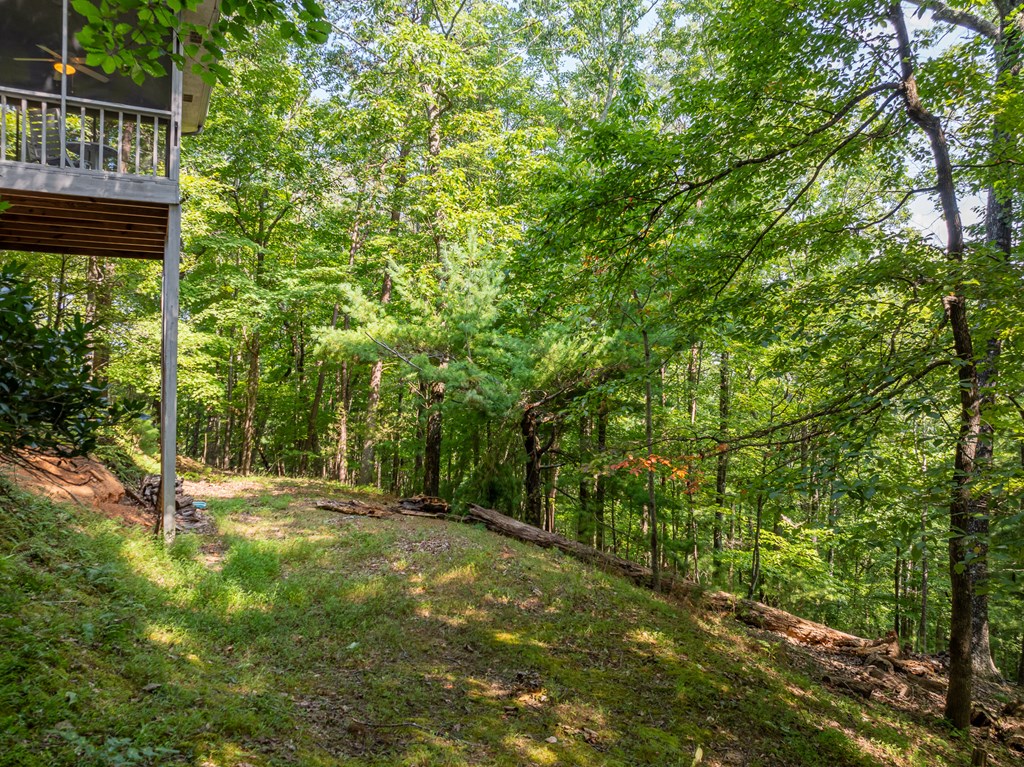 410200 Ellijay Residential