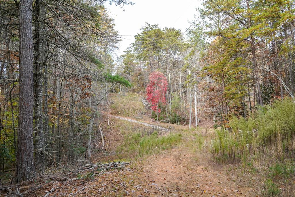 410208 Blairsville Land