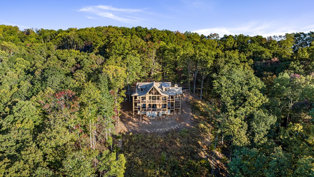 411234 Mineral Bluff Residential