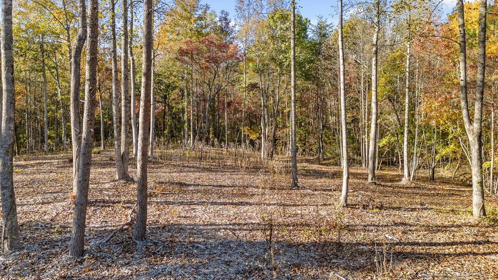 411283 Talking Rock Land
