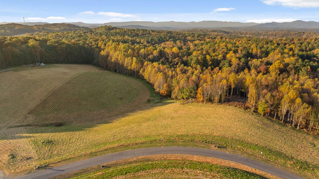 411285  Land
