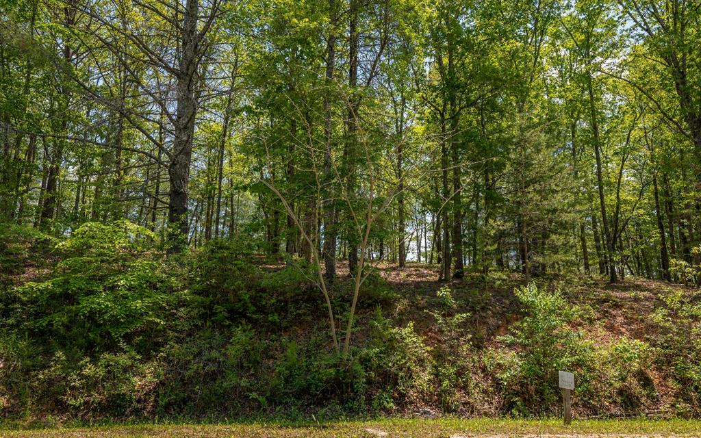 411295  Land
