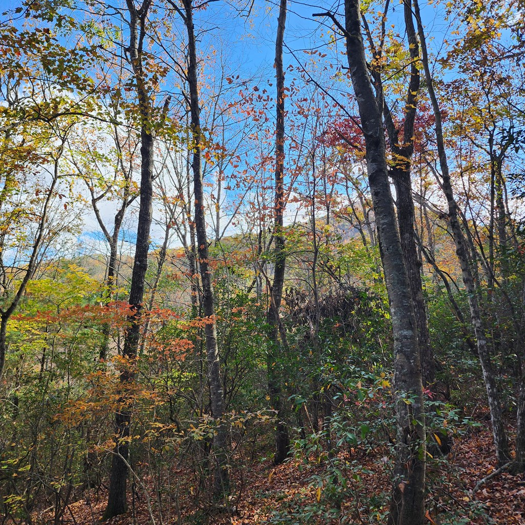 411304 Hiawassee Land