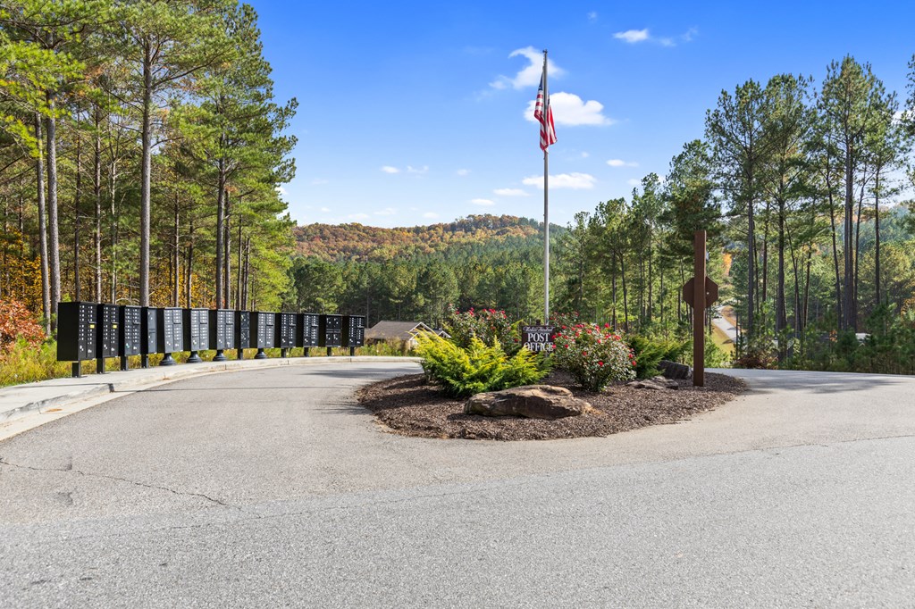 411307 Blairsville Land