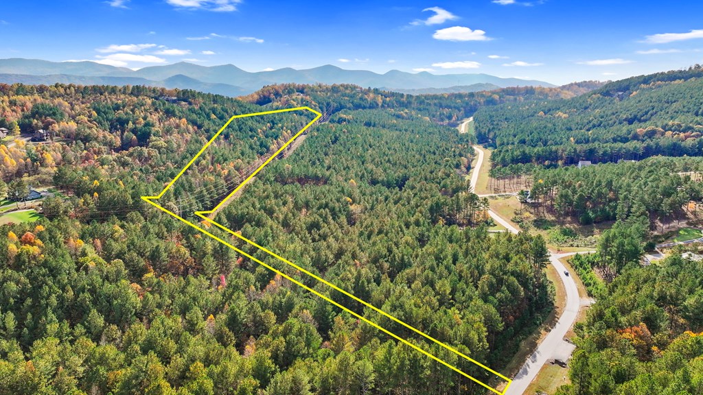 411307 Blairsville Land