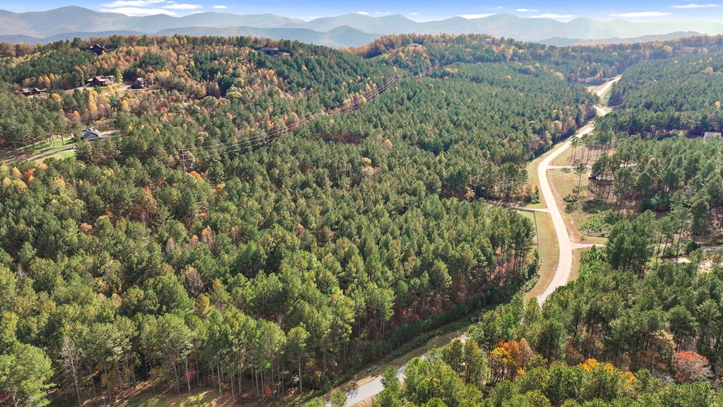 411307 Blairsville Land
