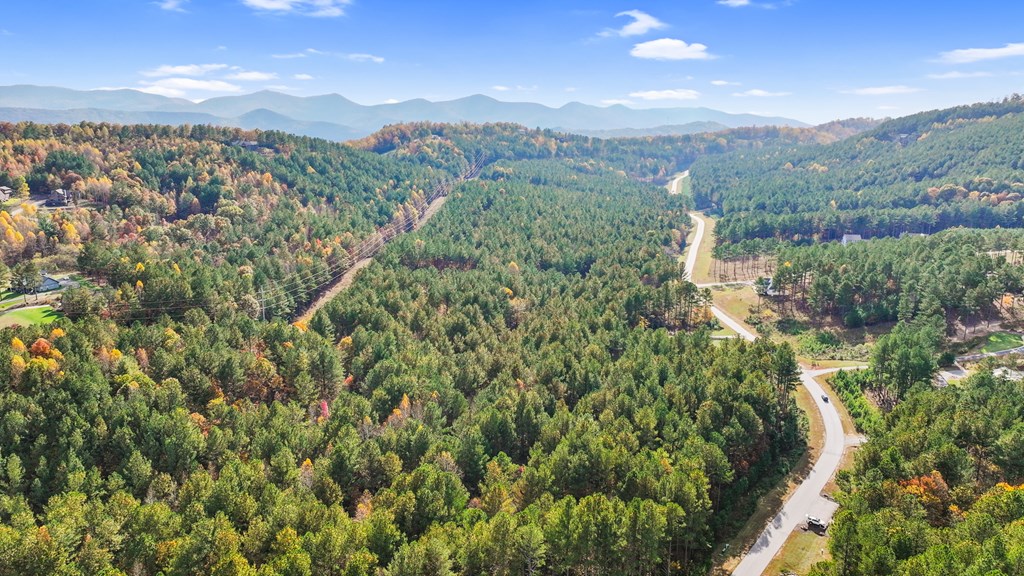 411307 Blairsville Land