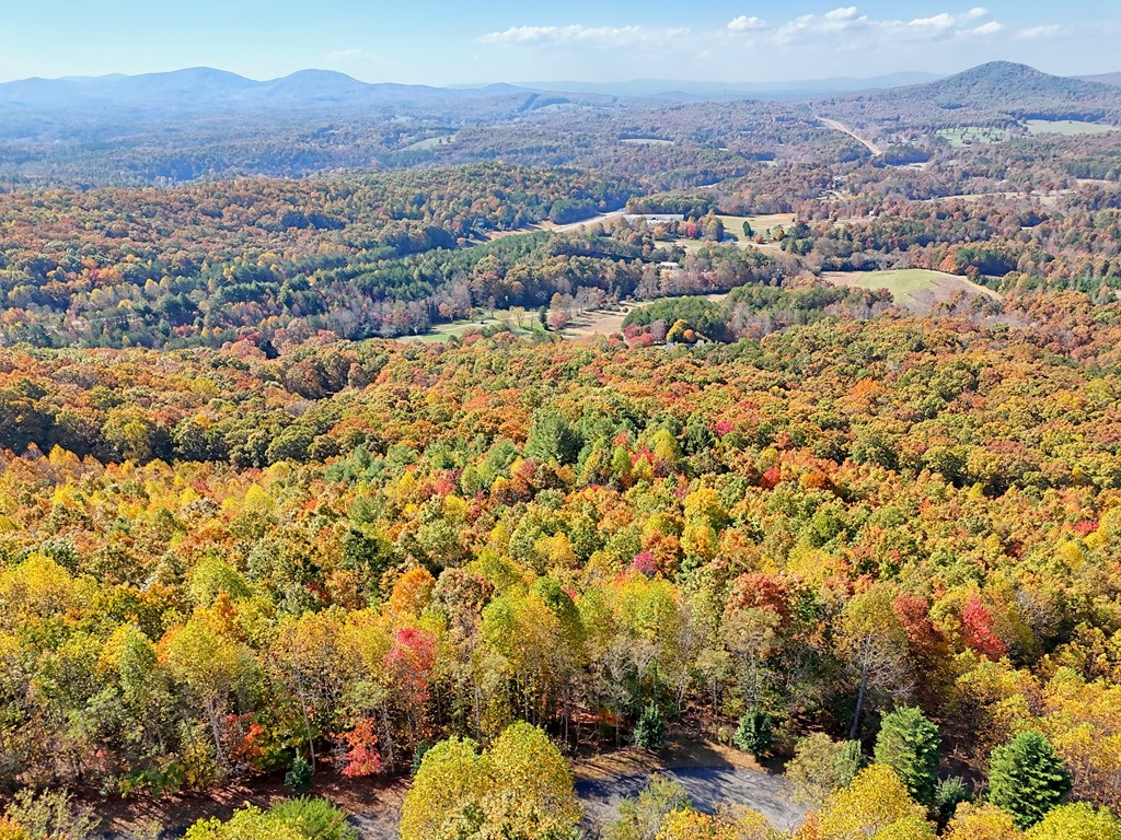 411333 Blairsville Land