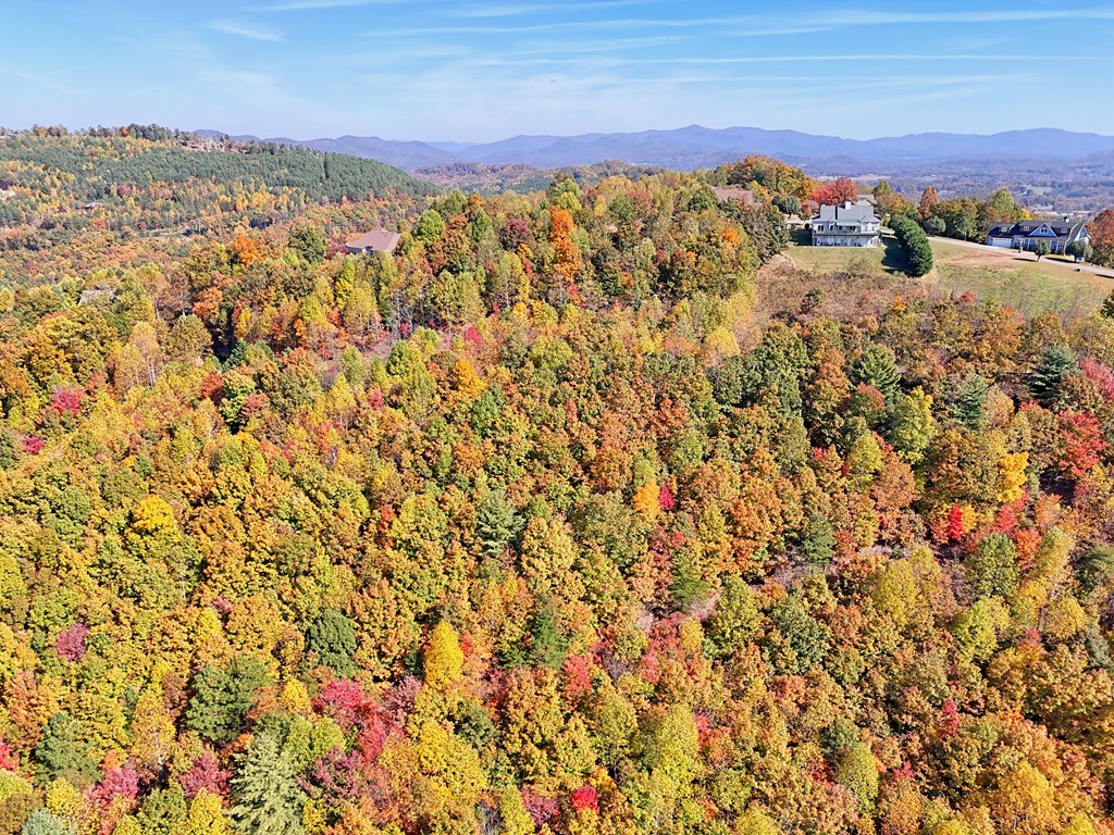 411333 Blairsville Land