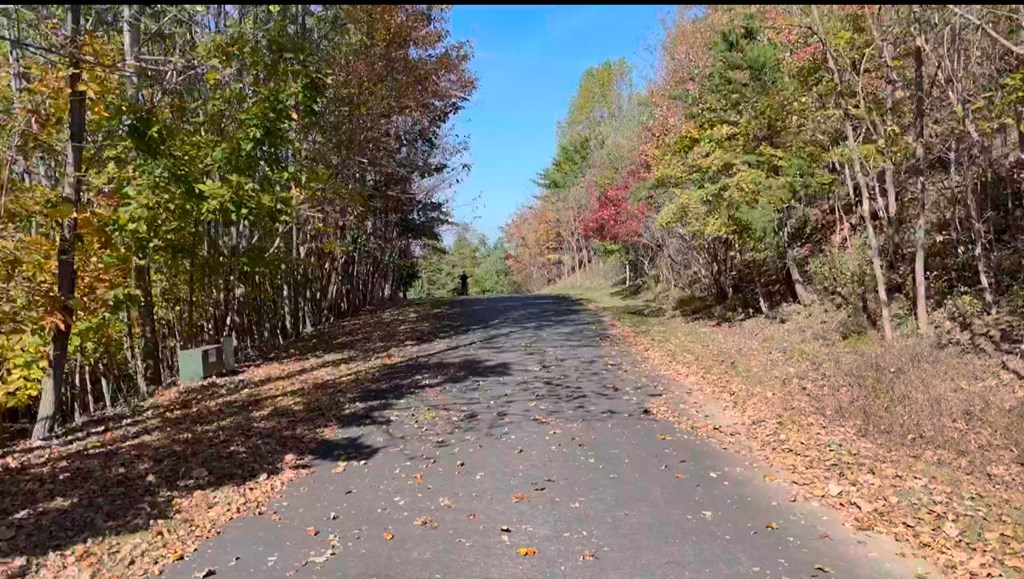 411333 Blairsville Land