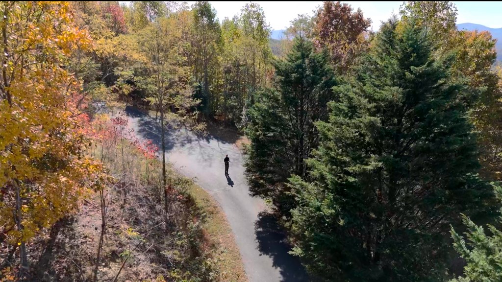 411333 Blairsville Land