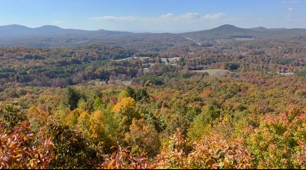 411333 Blairsville Land