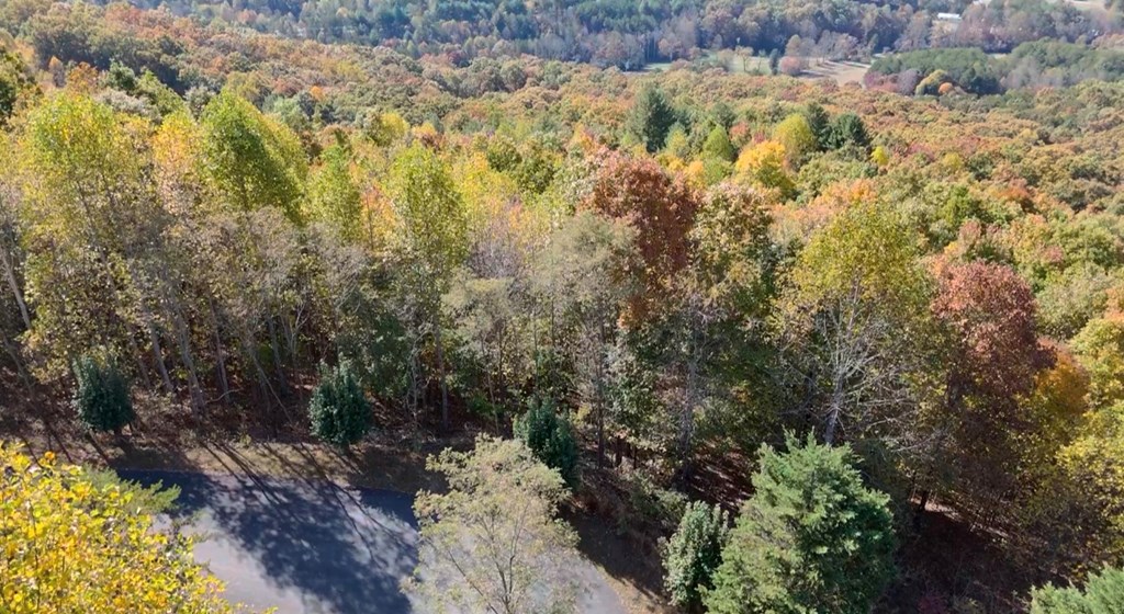 411333 Blairsville Land