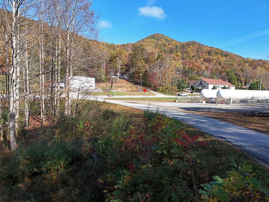 411354  Land