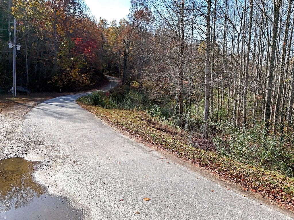 411354 Blairsville Land