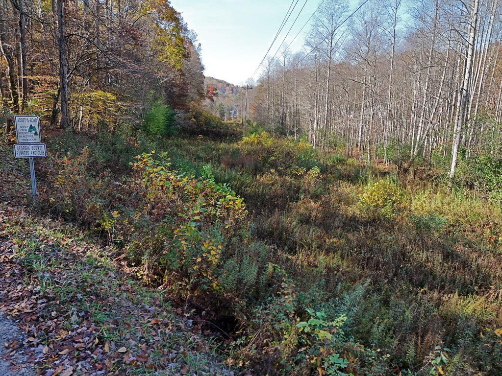 411354 Blairsville Land
