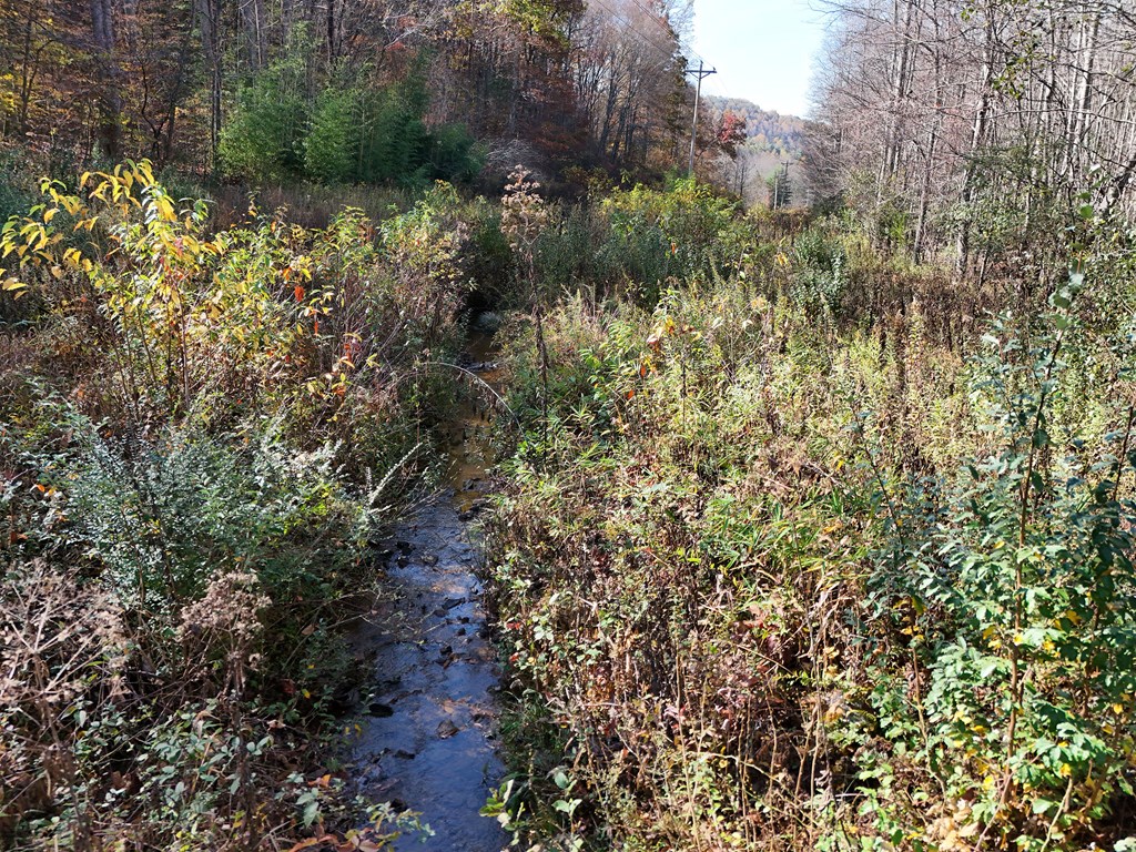 411354 Blairsville Land