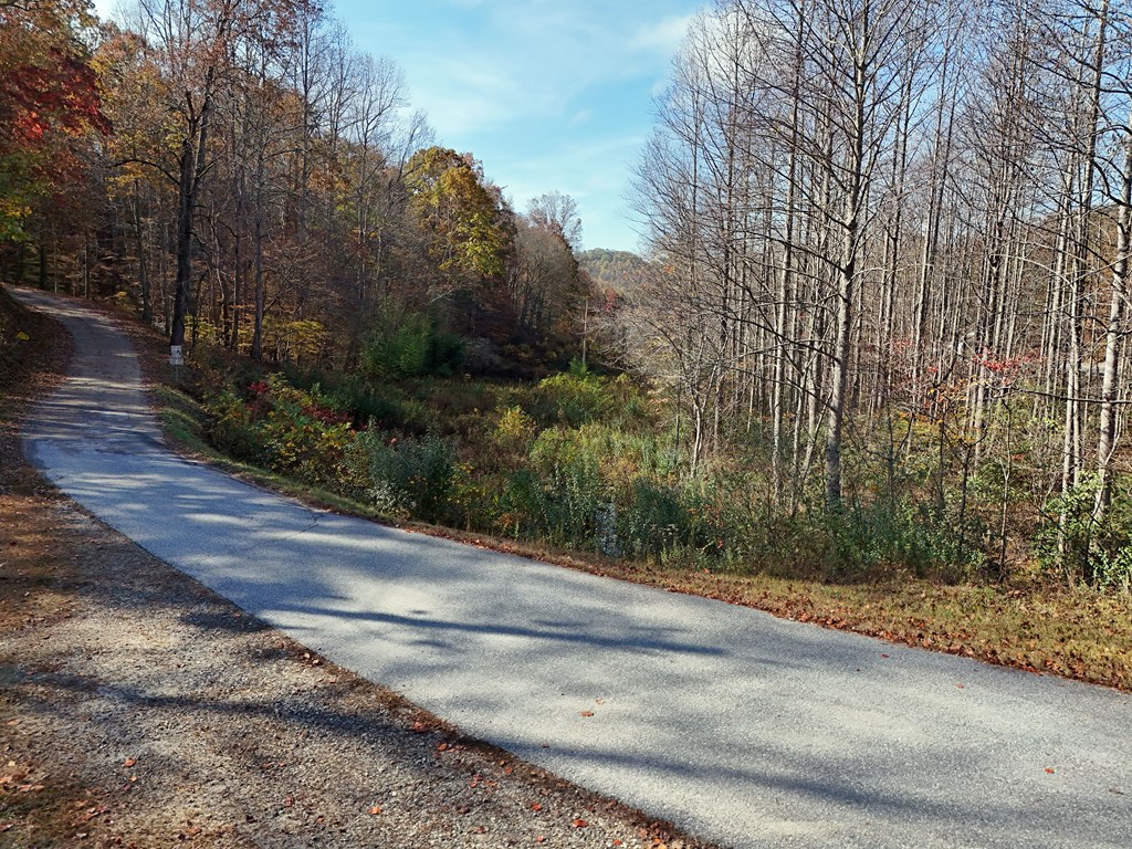 411354 Blairsville Land