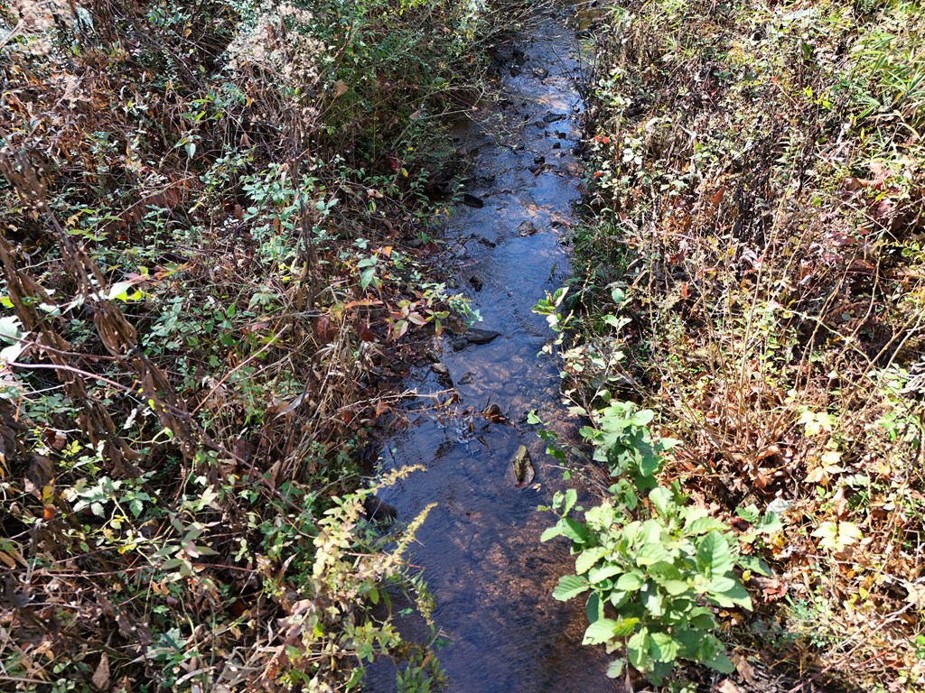 411354 Blairsville Land