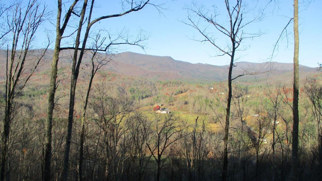 411365  Land
