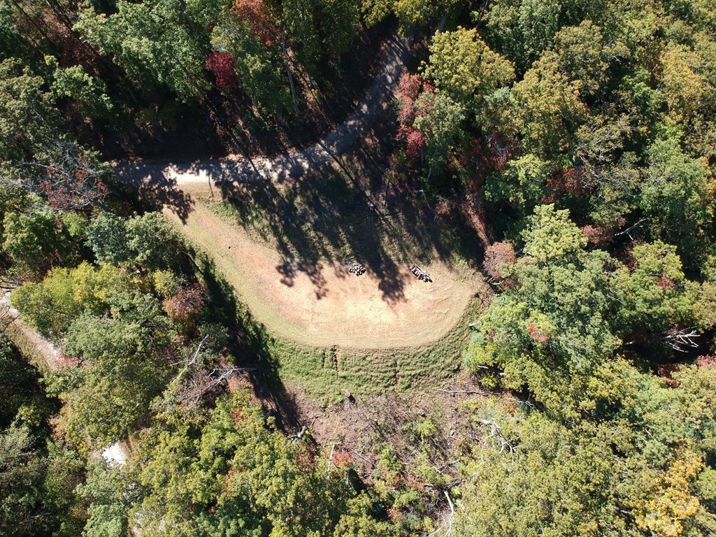 411365 Hayesville Land