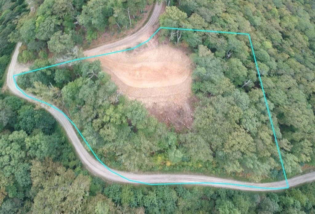 411365 Hayesville Land