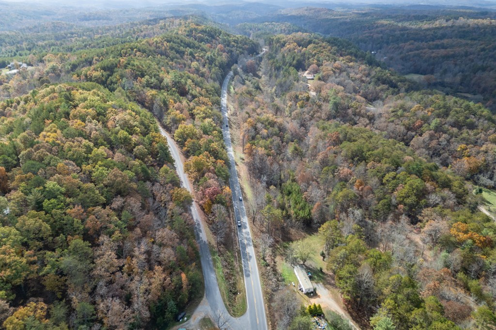 411377 Mineral Bluff Land