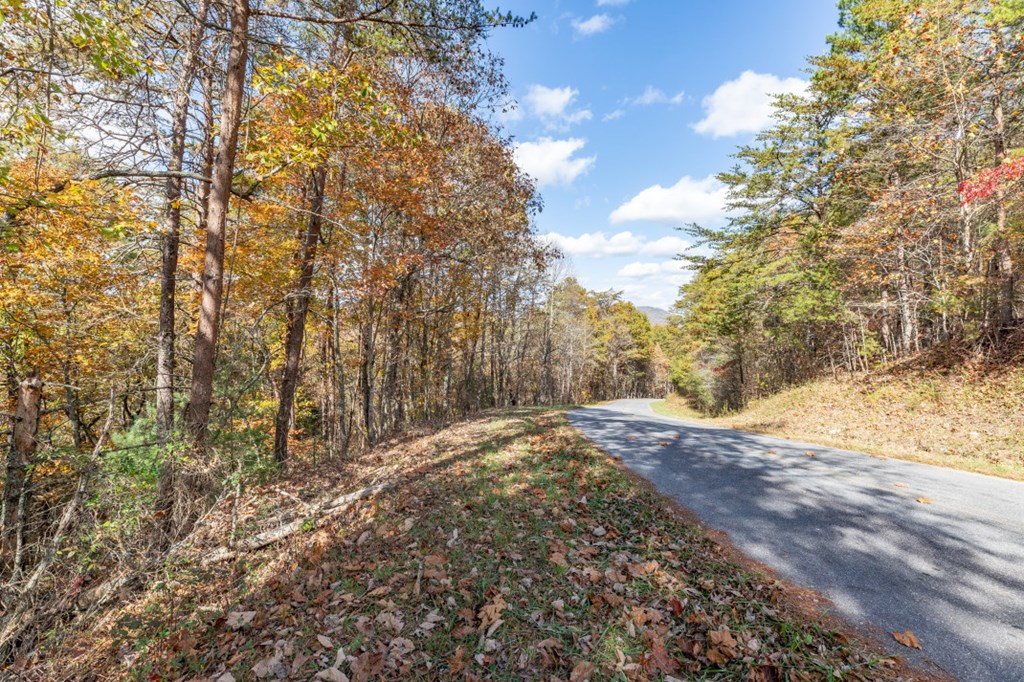 411377 Mineral Bluff Land
