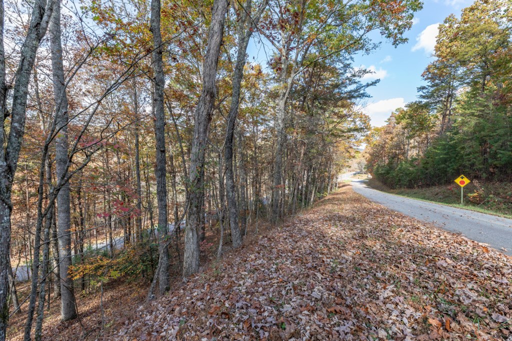 411377 Mineral Bluff Land