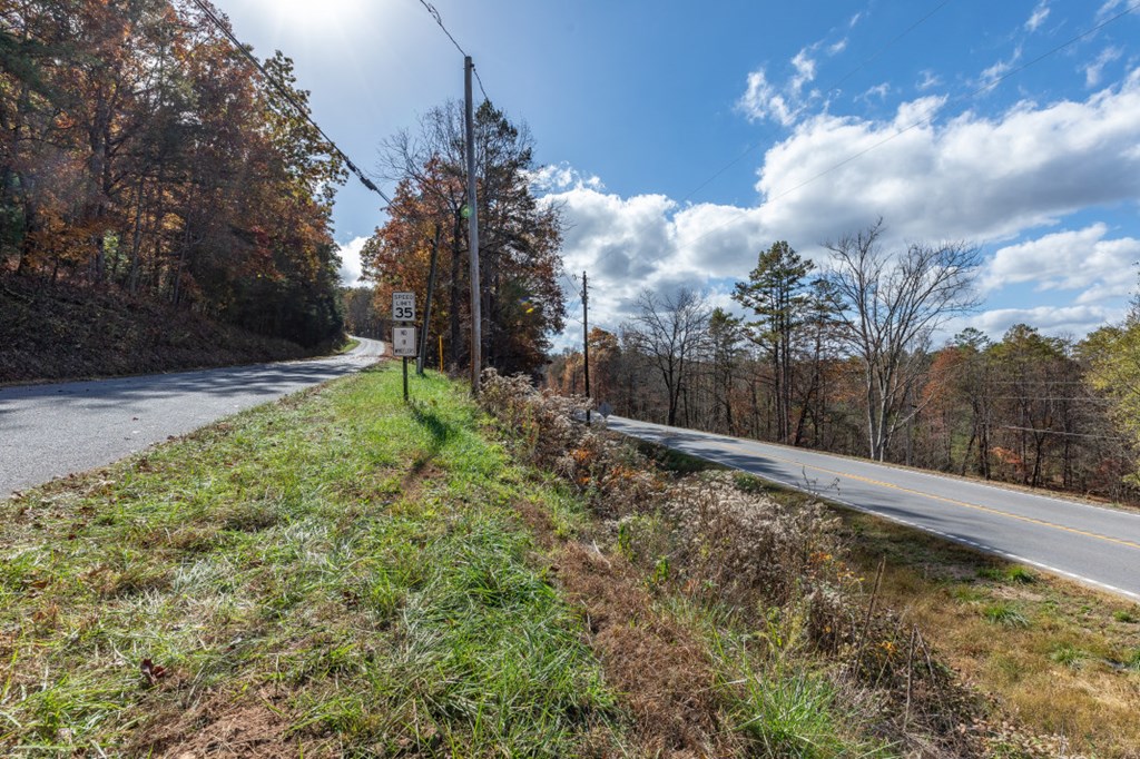 411377 Mineral Bluff Land