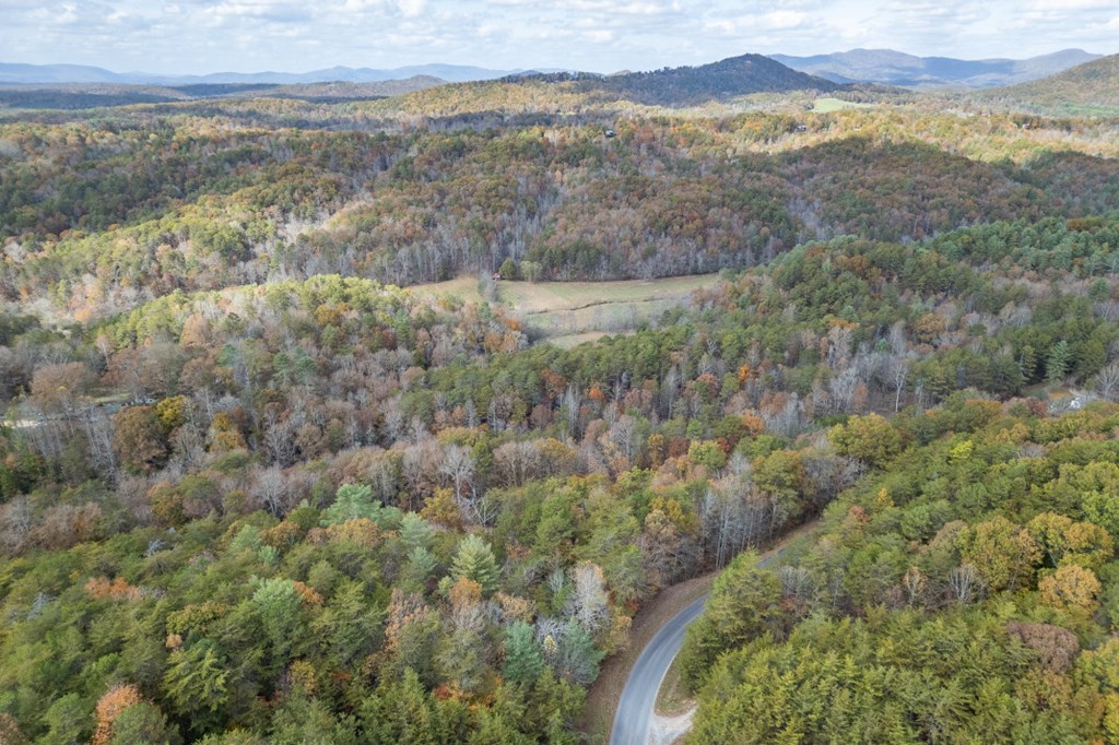 411377 Mineral Bluff Land