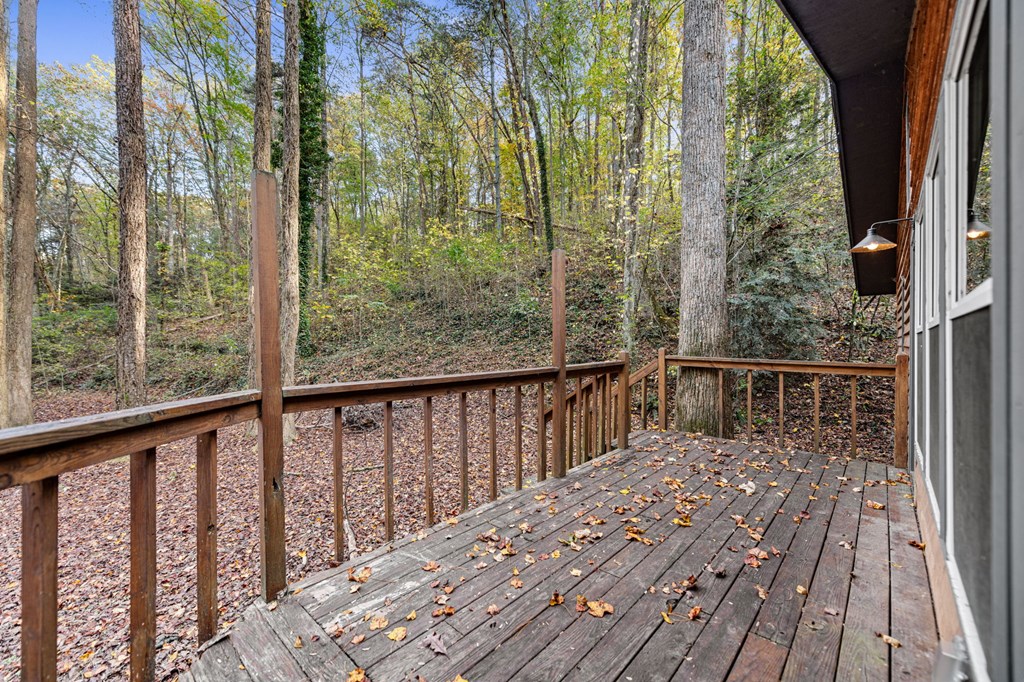 411411 Ellijay Residential