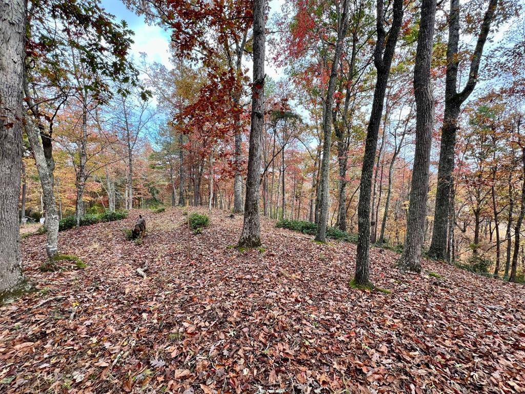 411437  Land
