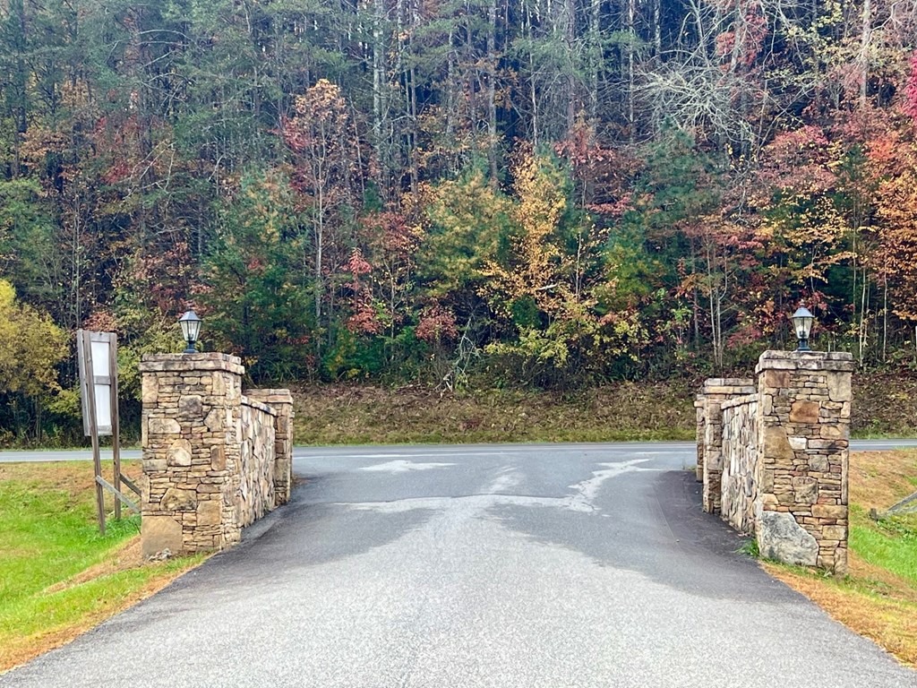 411437 Brasstown Land