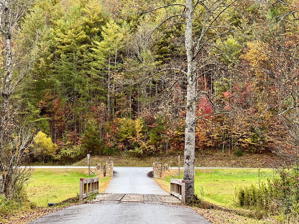 411437 Brasstown Land
