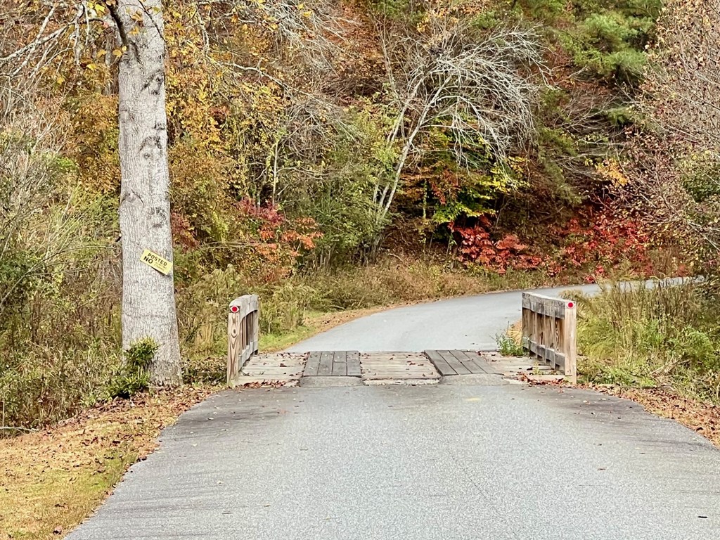 411437 Brasstown Land