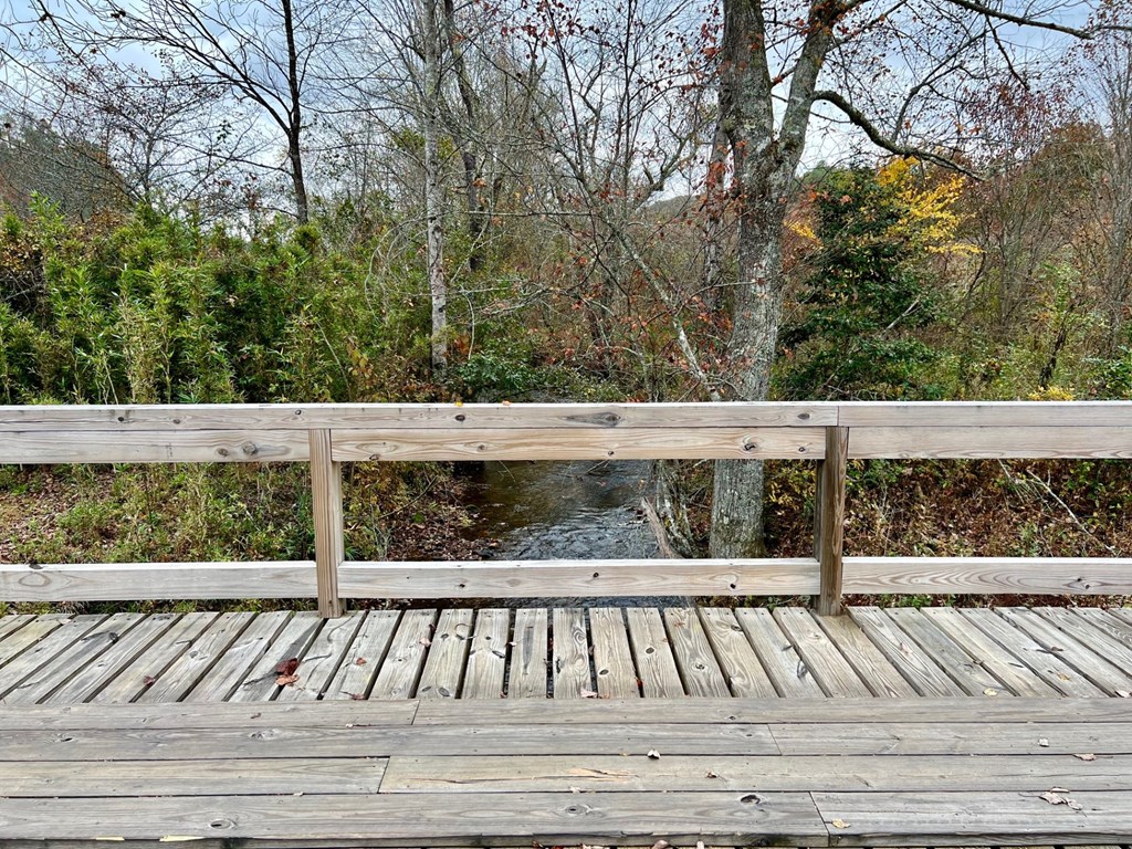 411437 Brasstown Land