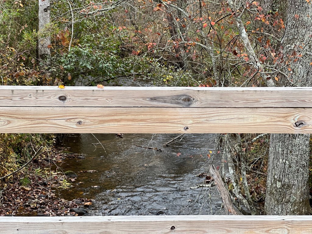 411437 Brasstown Land