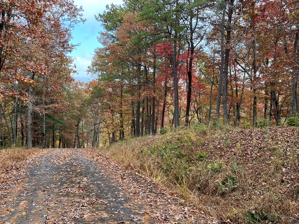 411437 Brasstown Land