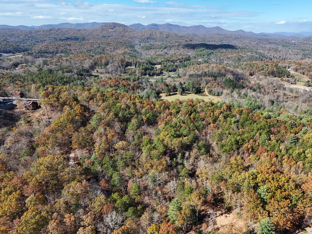 411451 Mineral Bluff Land