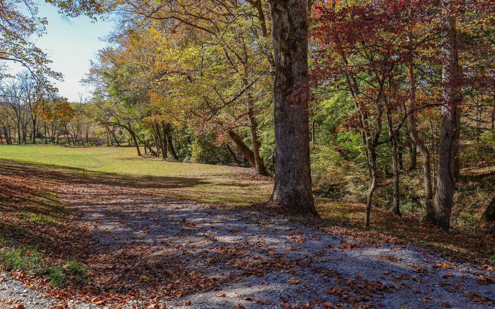 411465 Hayesville Land