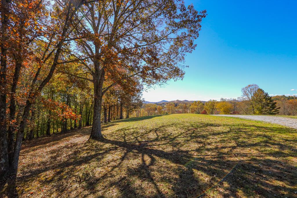 411465 Hayesville Land