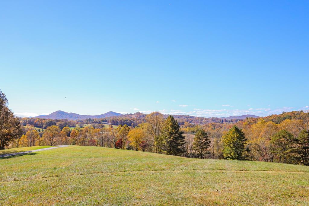 411465 Hayesville Land