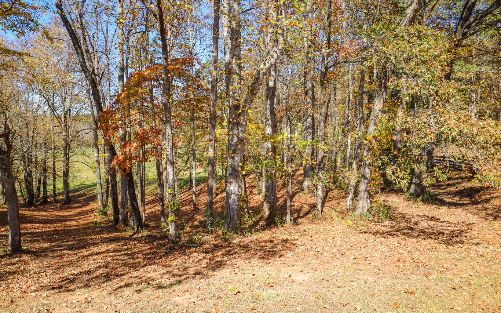 411483 Hayesville 