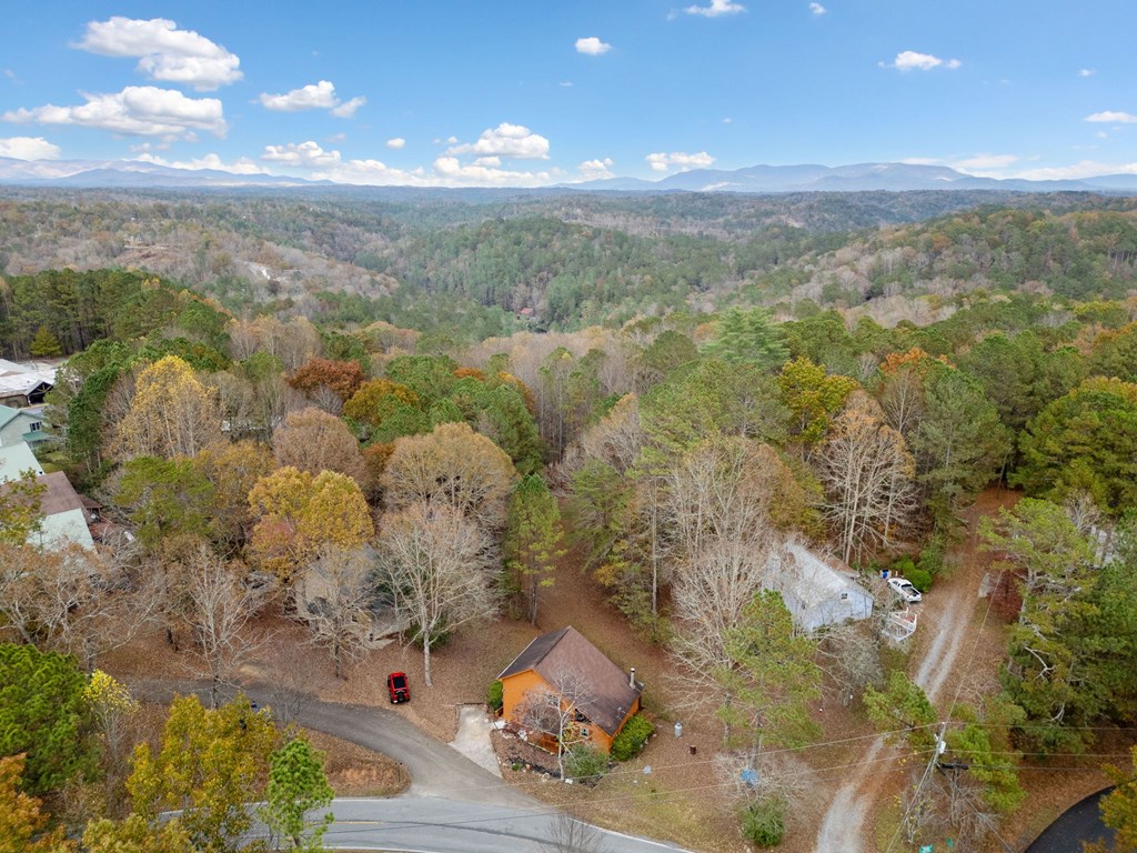 411485 Ellijay Residential