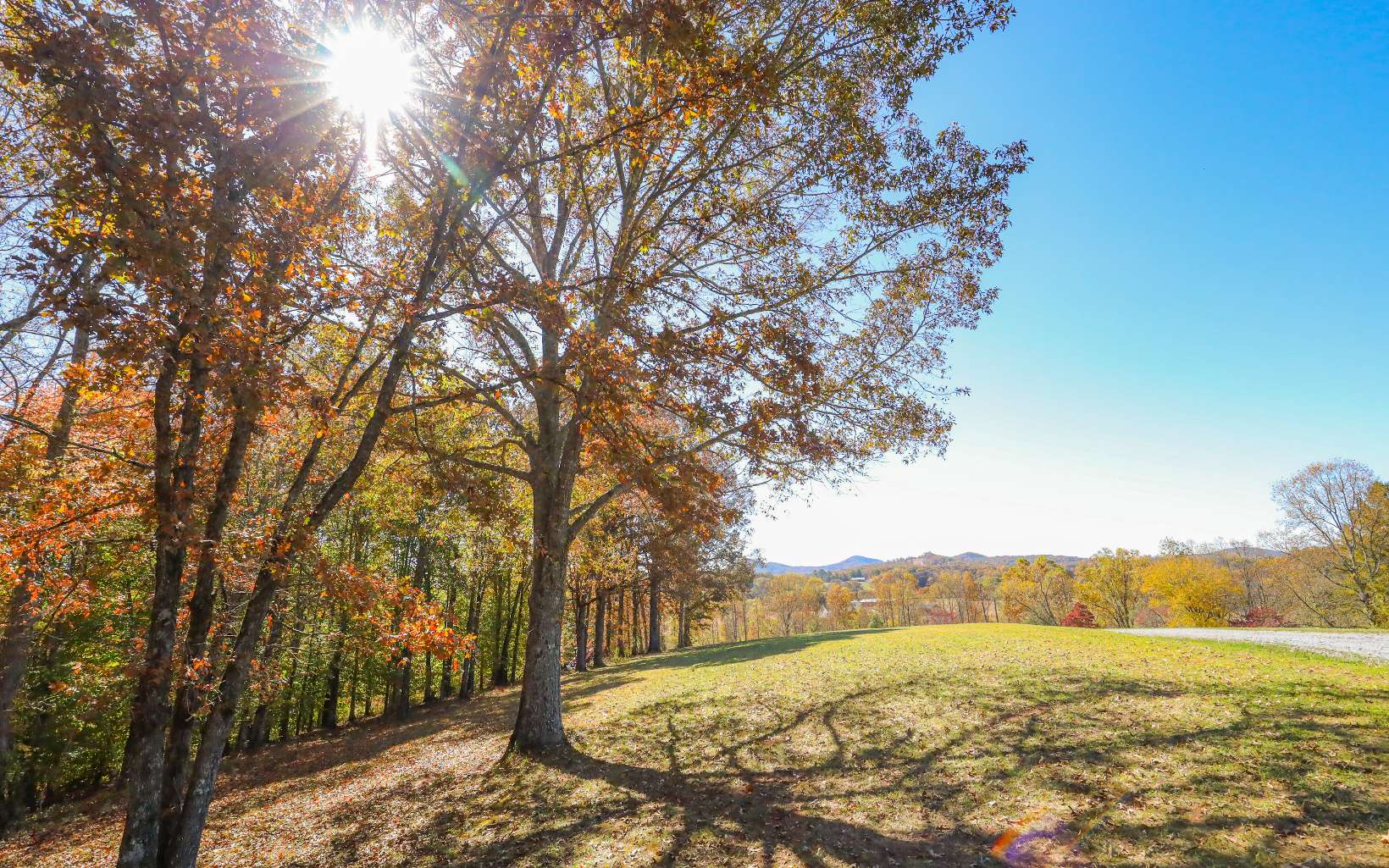 411487 Hayesville Land