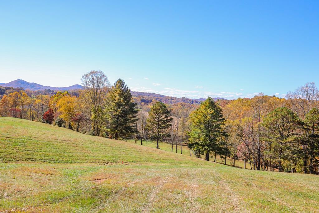 411488 Hayesville 